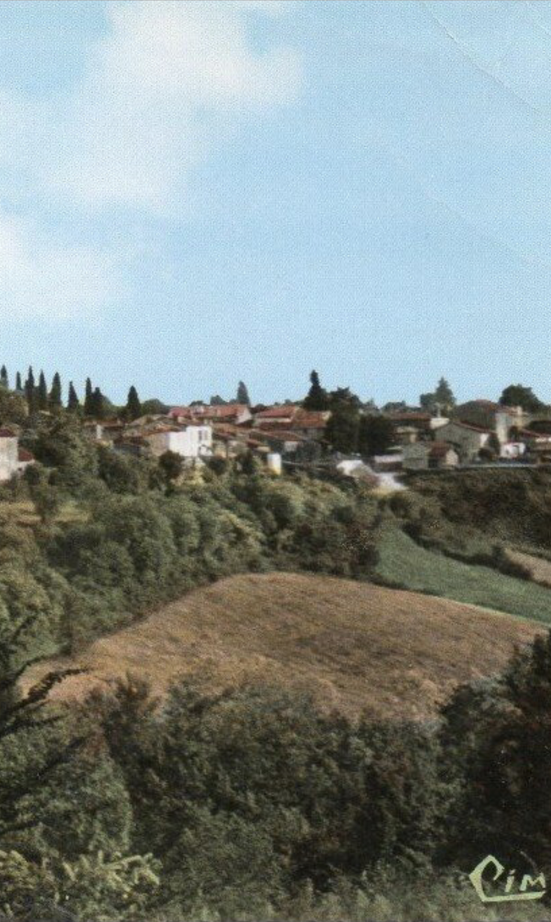 20230831_132316000_iOS