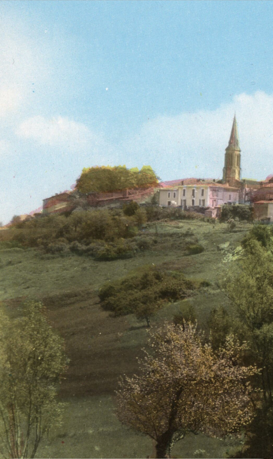 20230831_132813000_iOS