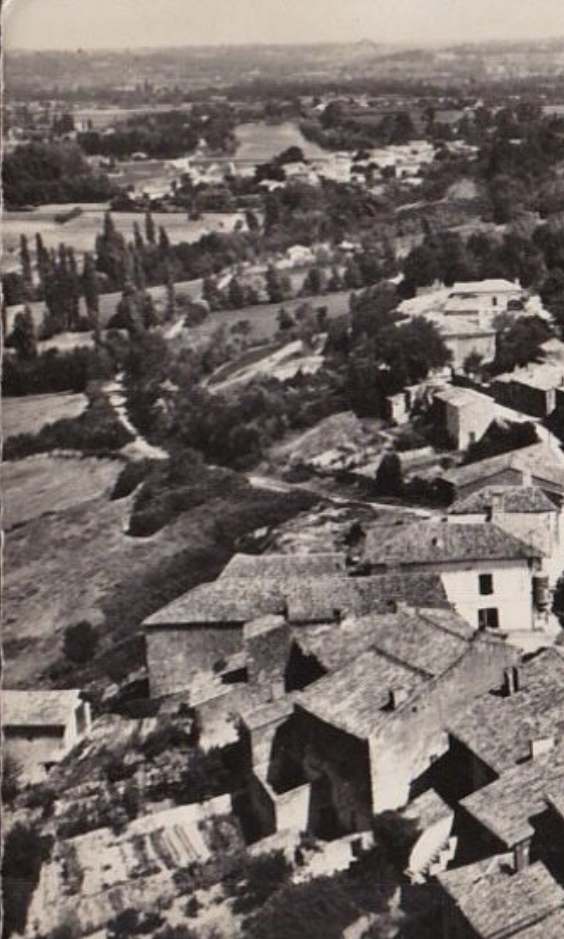 20230831_133133000_iOS