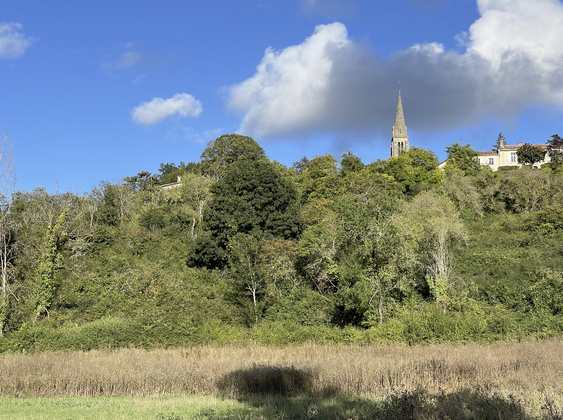 20230916_125847000_iOS