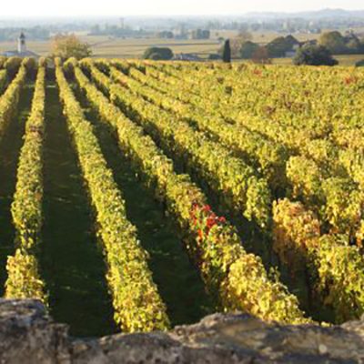 DSC00550-scaled-oqo1gls62dzde7wlypuu8hsj3pgjim0ug6eqolqnjs