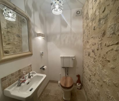 Downstairs Loo 2